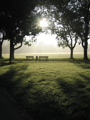 Wall Mural - benches in a park