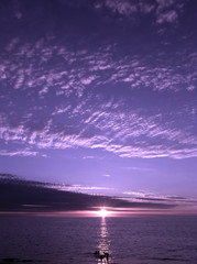 purple sunset