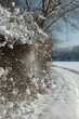 canvas print picture - weg im schnee