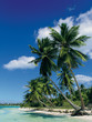 Leinwanddruck Bild caribbean beach