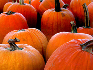 fall pumpkins