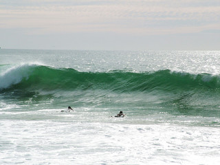 Wall Mural - surfeurs prennent la vague