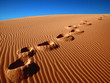 Leinwandbild Motiv footprints going over the sand.