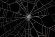 Leinwandbild Motiv spinnennetz
