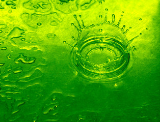 Wall Mural - lime water drop