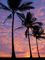 beach at sunset