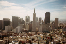 Transamerica Pyramid And Downtown