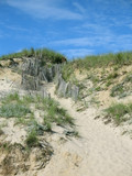 Fototapeta Na ścianę - dune walkway