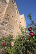 rose garden of ancient monastery