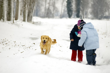 dog playing in the snow with two children