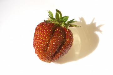 Canvas Print - strawberry over white