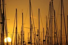 Masts In The Sunrise