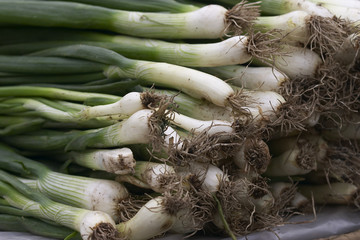 Canvas Print - spring onions