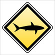 warning shark attack!