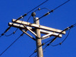 © Patricia Mesanko - utility pole