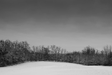 snow landscape #2