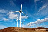 Fototapeta  - wind turbines farm