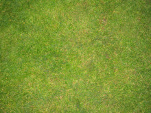 Green Grass Football Pitch Texture In England