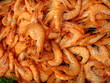 des crevettes