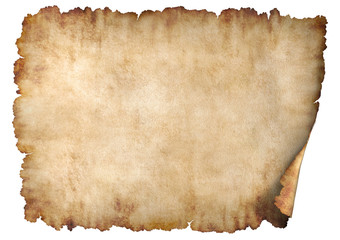 Wall Mural - parchment 2 horizontal