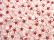 plum flowers pattern 1