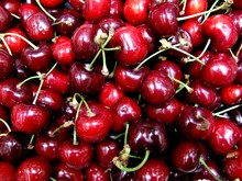Le Temps Des Cerises