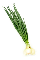 spring onions