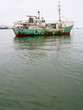 schiffswrack in afrika