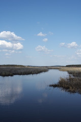 lake landscape