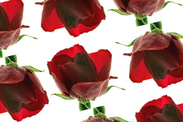 Wall Mural - roses rouges