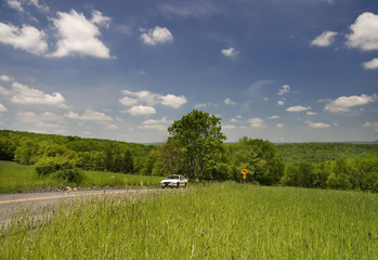 Wall Mural - rural road