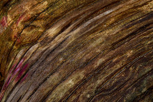 Old Wood Texture