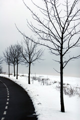 Wall Mural - winter in denmark