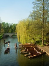 Punting On River Cam