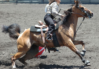 barrel racer