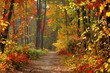 canvas print picture - colors of fall