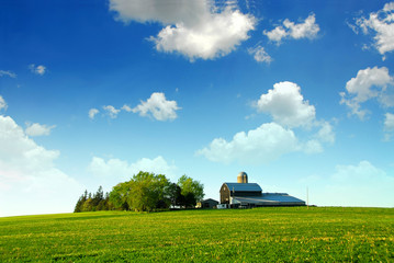 Wall Mural - farmhouse and barn