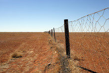 Australian Outback Dingo Fence