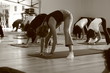 © Jean-Marie MAILLET - fitness