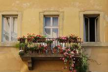 Balcony With Flowers