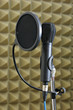 dynamic microphone and pop shield