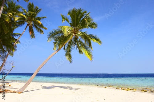 Plakat na papierze fotorealistycznym Ładna plaża z palmami
