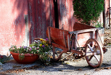 Old Wheelbarrow