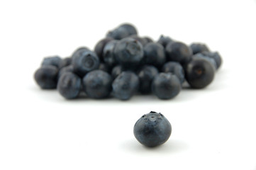 Wall Mural - blueberry stand out