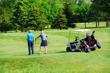 seniors golfing