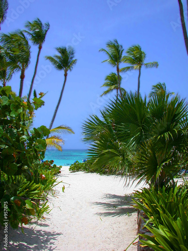 Naklejka na kafelki beach punta