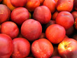 canvas print picture - rote nektarinen frucht