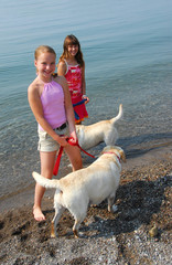 Wall Mural - two girls playing with dogs