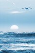 Leinwandbild Motiv seagulls and sunset