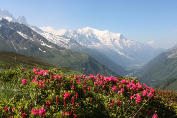 Naklejka szczyt preria szwajcaria